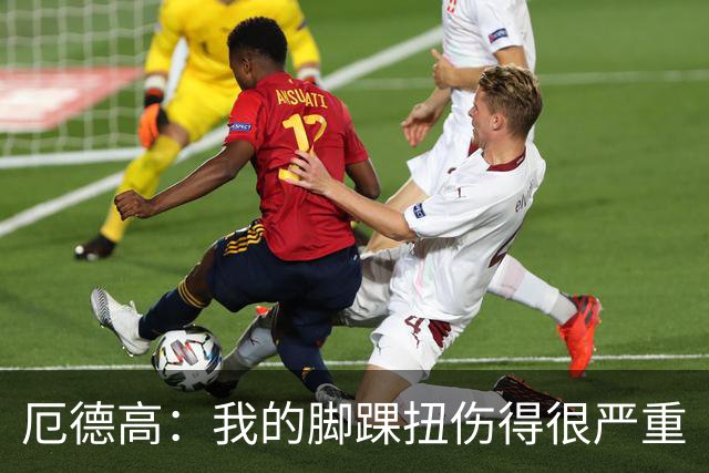 厄德高：我的脚踝扭伤得很严重